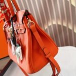 Hermes Birkin 25 Bag Togo Flame Orange 25Cm - Image 6