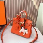 Hermes Birkin 25 Bag Togo Flame Orange 25Cm - Image 3