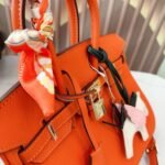 Hermes Birkin 25 Bag Togo Flame Orange 25Cm - Image 8